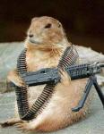 prairiedog's Avatar