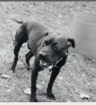 SBCK's Avatar SBCK's Avatar