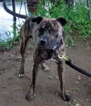 Milehighmisfit's Avatar Milehighmisfit's Avatar