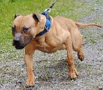 skipper's Avatar skipper's Avatar