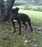 wolverine's Avatar wolverine's Avatar