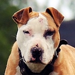 Sdc's Avatar Sdc's Avatar