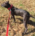 BD91's Avatar BD91's Avatar